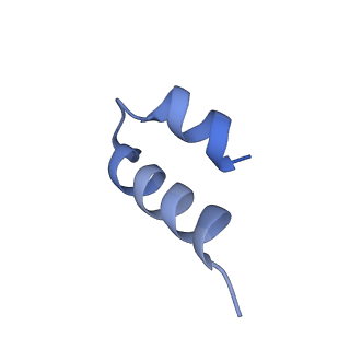 11310_6zn5_i_v1-1
SARS-CoV-2 Nsp1 bound to a pre-40S-like ribosome complex - state 2