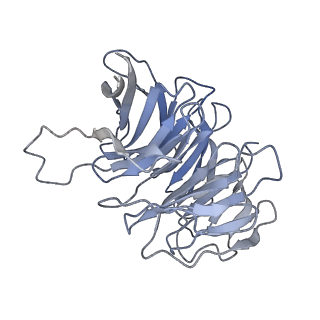11310_6zn5_j_v1-1
SARS-CoV-2 Nsp1 bound to a pre-40S-like ribosome complex - state 2