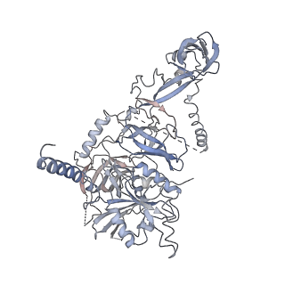 11310_6zn5_u_v1-1
SARS-CoV-2 Nsp1 bound to a pre-40S-like ribosome complex - state 2