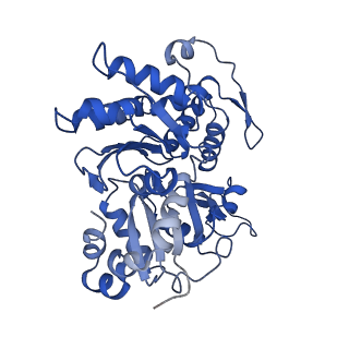 11313_6znl_B_v1-2
Cryo-EM structure of the dynactin complex