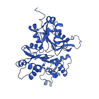11313_6znl_C_v1-2
Cryo-EM structure of the dynactin complex