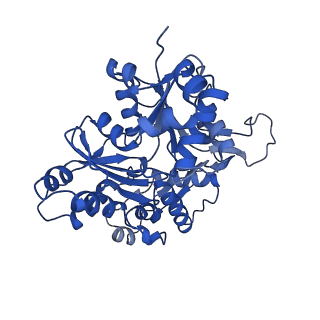 11313_6znl_E_v1-2
Cryo-EM structure of the dynactin complex