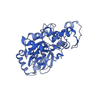 11313_6znl_F_v1-2
Cryo-EM structure of the dynactin complex