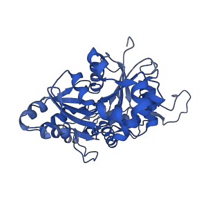 11313_6znl_G_v1-2
Cryo-EM structure of the dynactin complex
