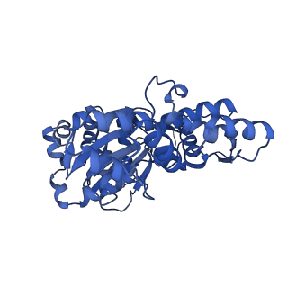 11313_6znl_H_v1-2
Cryo-EM structure of the dynactin complex