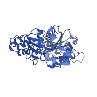 11313_6znl_I_v1-2
Cryo-EM structure of the dynactin complex