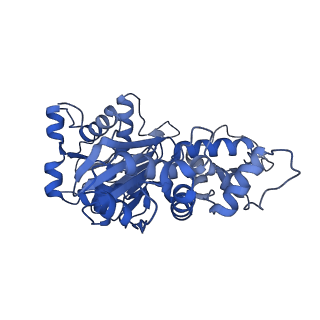 11313_6znl_J_v1-2
Cryo-EM structure of the dynactin complex