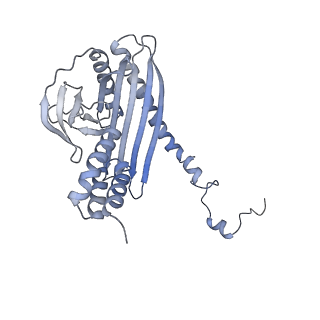 11313_6znl_K_v1-2
Cryo-EM structure of the dynactin complex