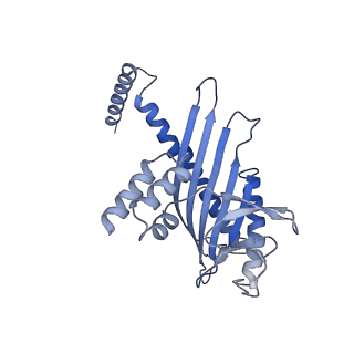 11313_6znl_L_v1-2
Cryo-EM structure of the dynactin complex