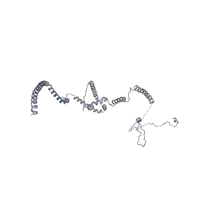 11313_6znl_M_v1-2
Cryo-EM structure of the dynactin complex