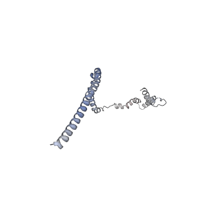 11313_6znl_O_v1-2
Cryo-EM structure of the dynactin complex