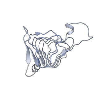 11313_6znl_U_v1-2
Cryo-EM structure of the dynactin complex