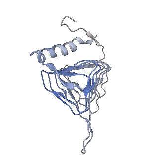 11313_6znl_V_v1-2
Cryo-EM structure of the dynactin complex