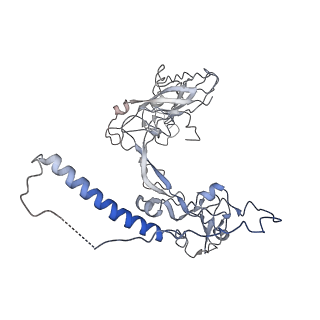 11313_6znl_Y_v1-2
Cryo-EM structure of the dynactin complex