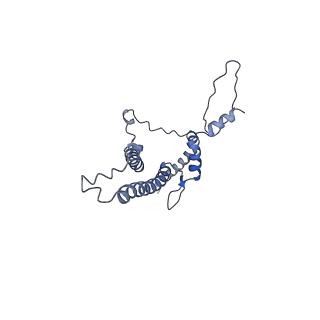 11313_6znl_Z_v1-2
Cryo-EM structure of the dynactin complex