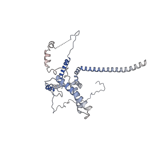 11313_6znl_n_v1-2
Cryo-EM structure of the dynactin complex