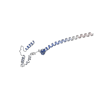 11313_6znl_o_v1-2
Cryo-EM structure of the dynactin complex