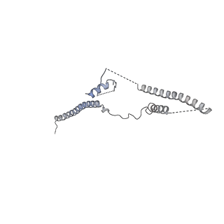 11313_6znl_z_v1-2
Cryo-EM structure of the dynactin complex