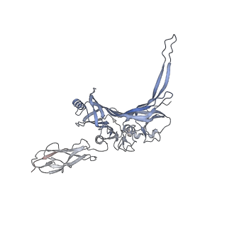 14799_7zn2_C_v1-1
Tail tip of siphophage T5 : full complex after interaction with its bacterial receptor FhuA