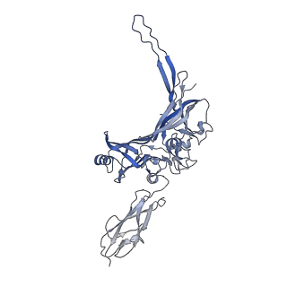 14799_7zn2_E_v1-1
Tail tip of siphophage T5 : full complex after interaction with its bacterial receptor FhuA