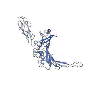 14799_7zn2_F_v1-1
Tail tip of siphophage T5 : full complex after interaction with its bacterial receptor FhuA