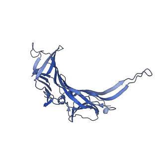 14799_7zn2_I_v1-1
Tail tip of siphophage T5 : full complex after interaction with its bacterial receptor FhuA