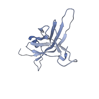 14799_7zn2_J_v1-1
Tail tip of siphophage T5 : full complex after interaction with its bacterial receptor FhuA