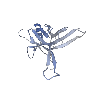 14799_7zn2_K_v1-1
Tail tip of siphophage T5 : full complex after interaction with its bacterial receptor FhuA