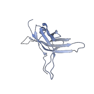 14799_7zn2_L_v1-1
Tail tip of siphophage T5 : full complex after interaction with its bacterial receptor FhuA