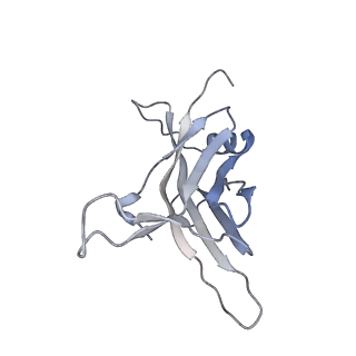 14799_7zn2_N_v1-1
Tail tip of siphophage T5 : full complex after interaction with its bacterial receptor FhuA