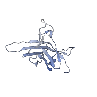 14799_7zn2_R_v1-1
Tail tip of siphophage T5 : full complex after interaction with its bacterial receptor FhuA