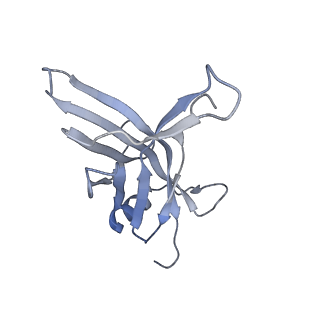 14799_7zn2_S_v1-1
Tail tip of siphophage T5 : full complex after interaction with its bacterial receptor FhuA