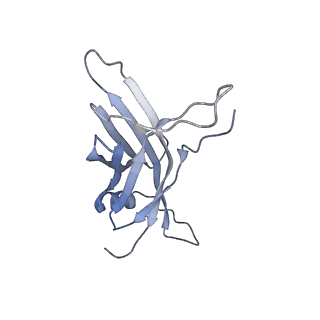 14799_7zn2_T_v1-1
Tail tip of siphophage T5 : full complex after interaction with its bacterial receptor FhuA