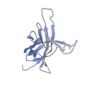 14799_7zn2_U_v1-1
Tail tip of siphophage T5 : full complex after interaction with its bacterial receptor FhuA