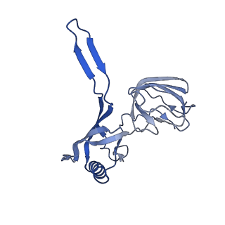 14799_7zn2_X_v1-1
Tail tip of siphophage T5 : full complex after interaction with its bacterial receptor FhuA