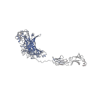 14799_7zn2_d_v1-1
Tail tip of siphophage T5 : full complex after interaction with its bacterial receptor FhuA