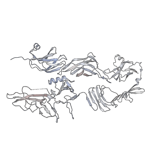 14799_7zn2_e_v1-1
Tail tip of siphophage T5 : full complex after interaction with its bacterial receptor FhuA