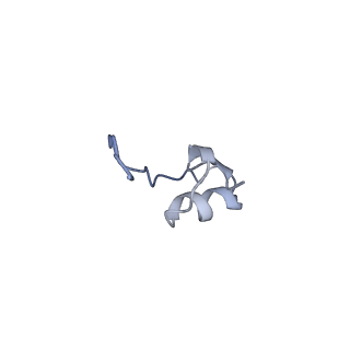14799_7zn2_h_v1-1
Tail tip of siphophage T5 : full complex after interaction with its bacterial receptor FhuA