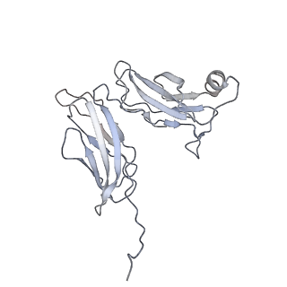 14800_7zn4_b_v1-1
Tail tip of siphophage T5 : bent fibre after interaction with its bacterial receptor FhuA