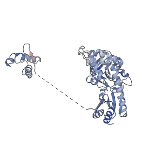 14801_7zn5_A_v1-2
Cryo-EM structure of holo-PdxR from Bacillus clausii bound to its target DNA in the closed conformation, C2 symmetry.