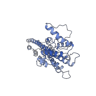 14802_7zn7_B_v1-1
Cryo-EM structure of RCMV-E E27 bound to human DDB1 (deltaBPB) and rat STAT2 CCD