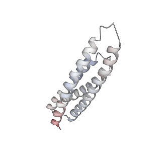14802_7zn7_D_v1-1
Cryo-EM structure of RCMV-E E27 bound to human DDB1 (deltaBPB) and rat STAT2 CCD