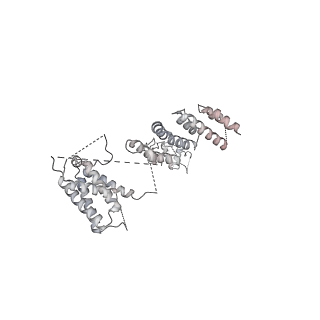 14804_7znk_A_v1-2
Structure of an endogenous human TREX complex bound to mRNA