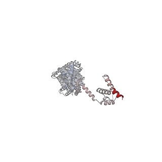 14804_7znk_B_v1-2
Structure of an endogenous human TREX complex bound to mRNA