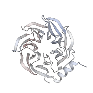 14804_7znk_C_v1-2
Structure of an endogenous human TREX complex bound to mRNA