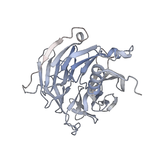 14804_7znk_F_v1-2
Structure of an endogenous human TREX complex bound to mRNA