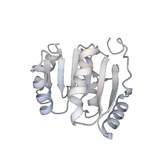 14804_7znk_H_v1-2
Structure of an endogenous human TREX complex bound to mRNA