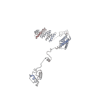 14804_7znk_I_v1-2
Structure of an endogenous human TREX complex bound to mRNA