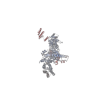 14804_7znk_J_v1-2
Structure of an endogenous human TREX complex bound to mRNA