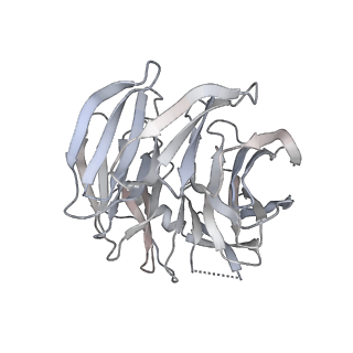 14804_7znk_K_v1-2
Structure of an endogenous human TREX complex bound to mRNA